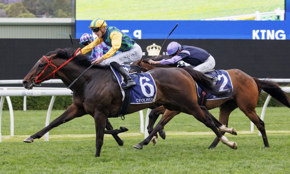 到武器供应 到武器供应