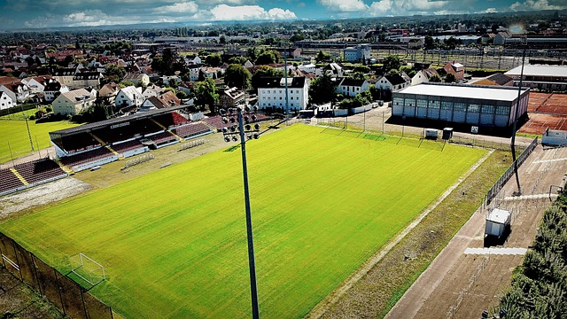 实现了优势 实现了优势